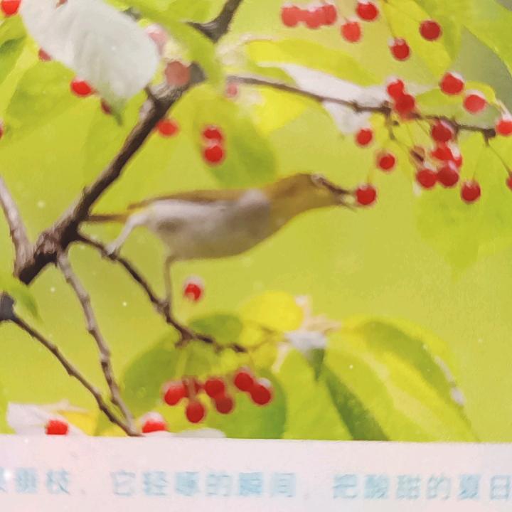 健康平安