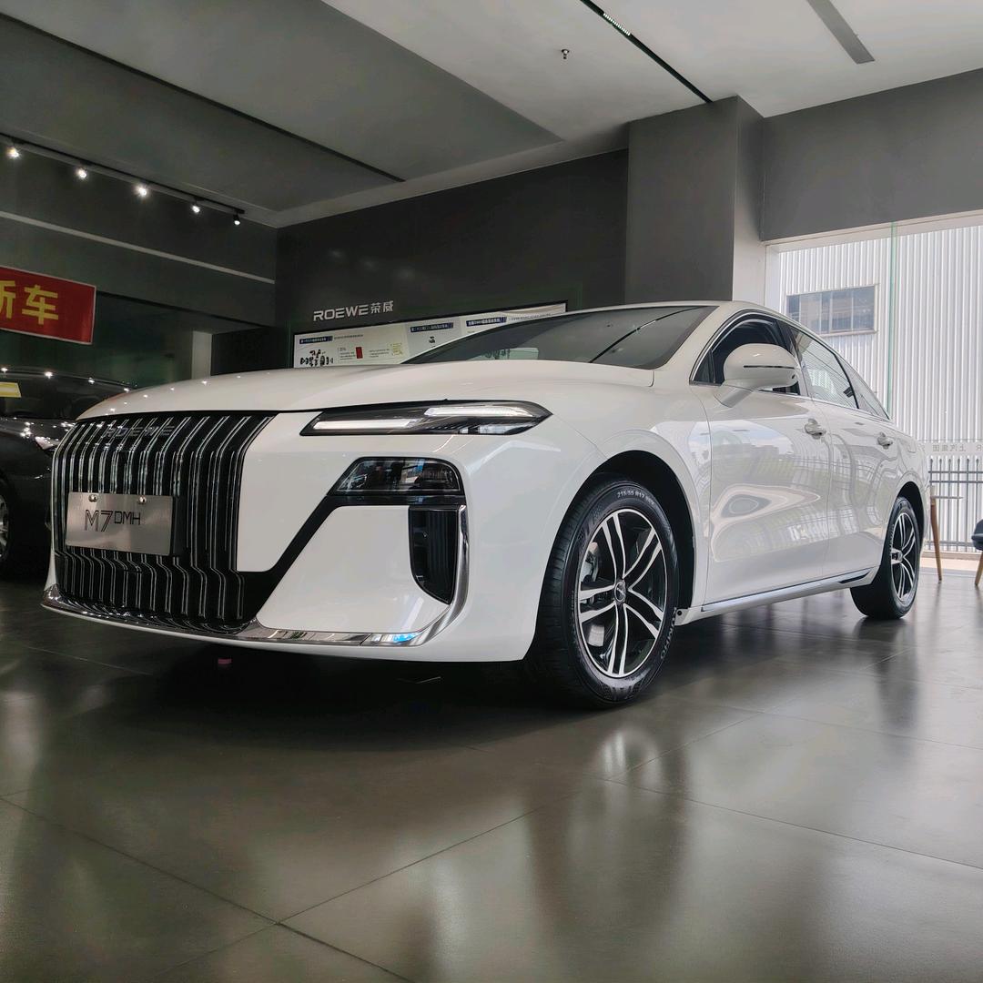 遵义卖荣威1号人物