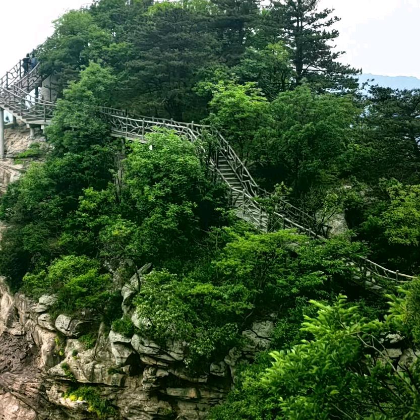 神秘姐姐