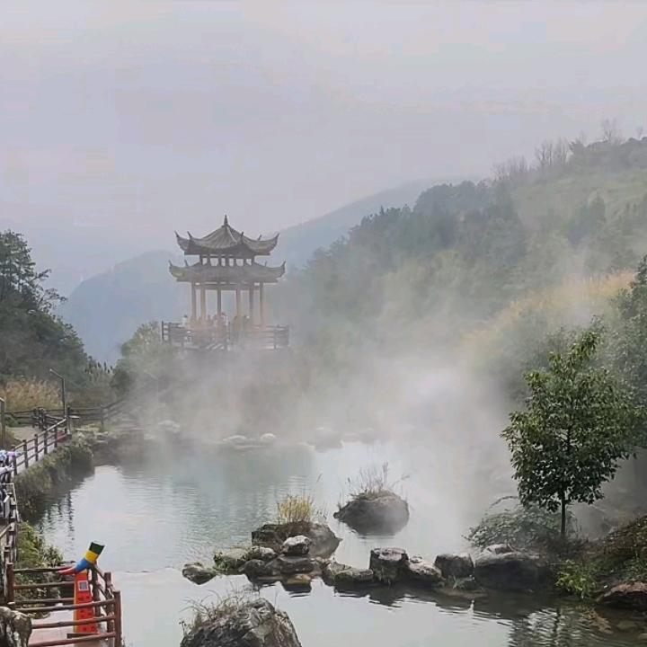 黎姐66