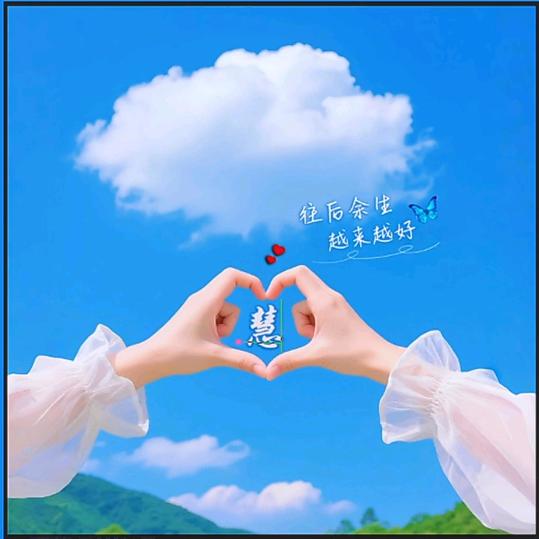 可爱的小猫咪🌸