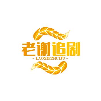 老谢追剧