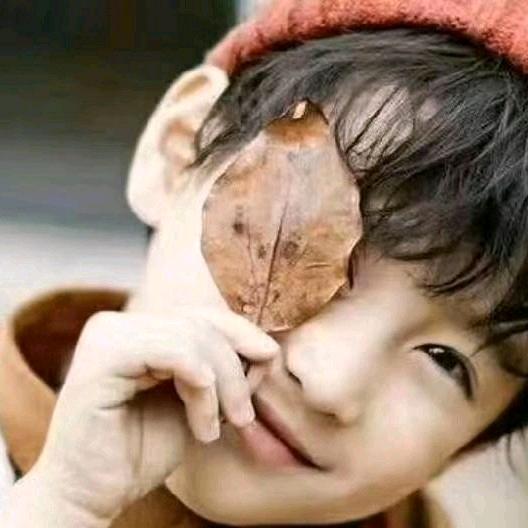 ༉ རྨི་ལམ།