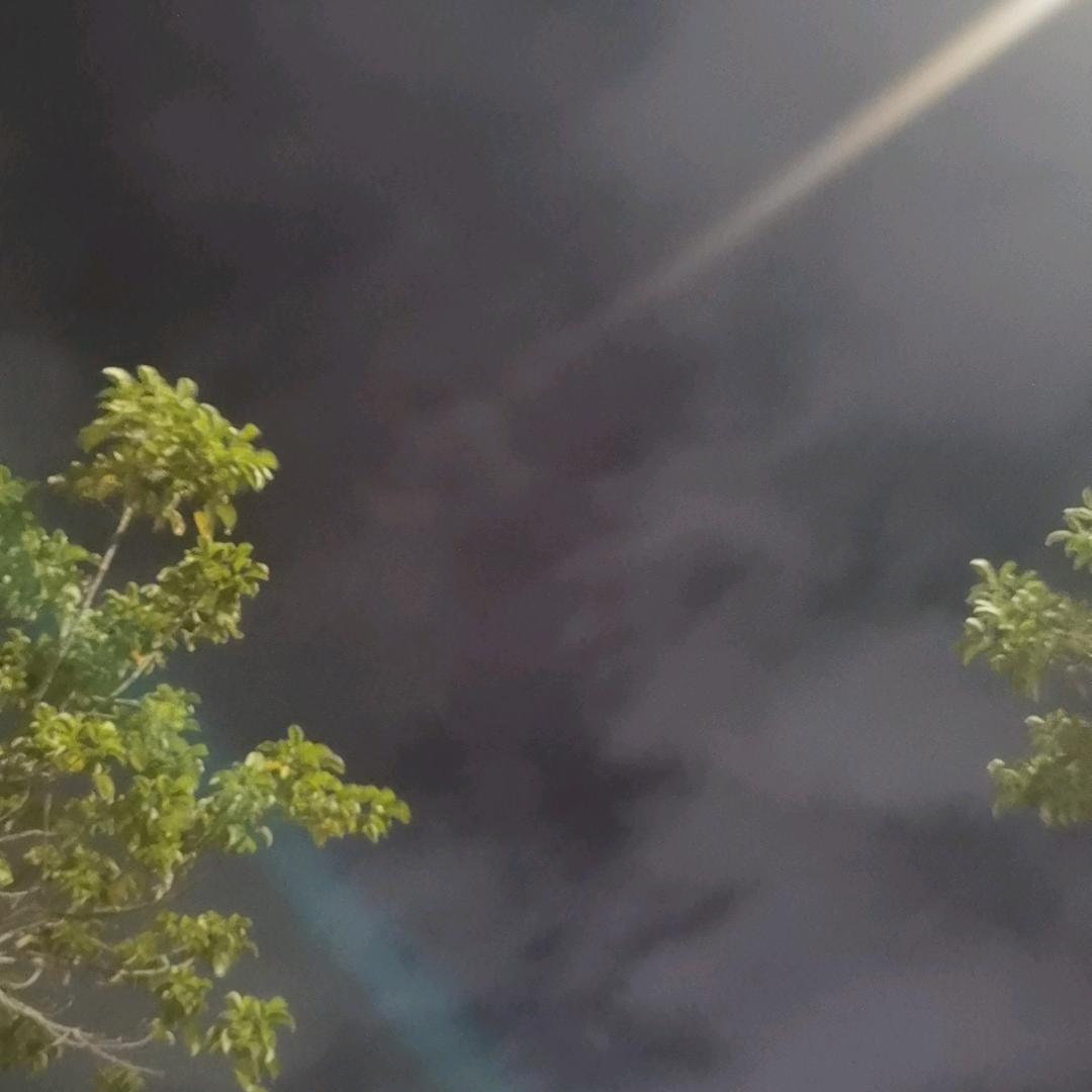 舍我其谁