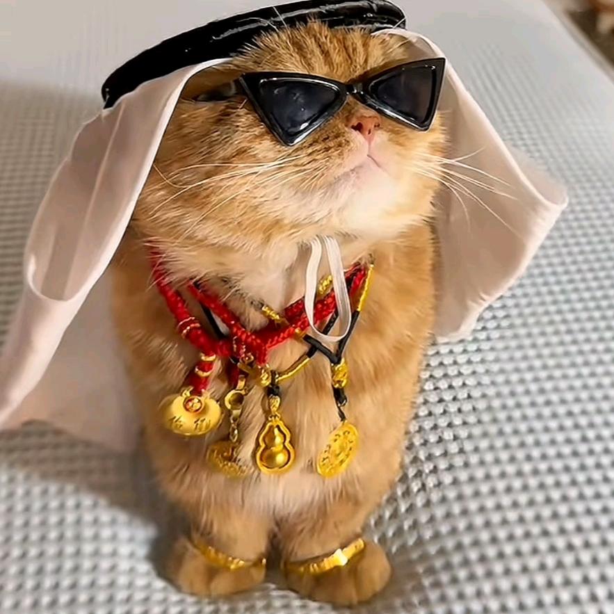 🌈🌈🌈🌈🌈🌈清