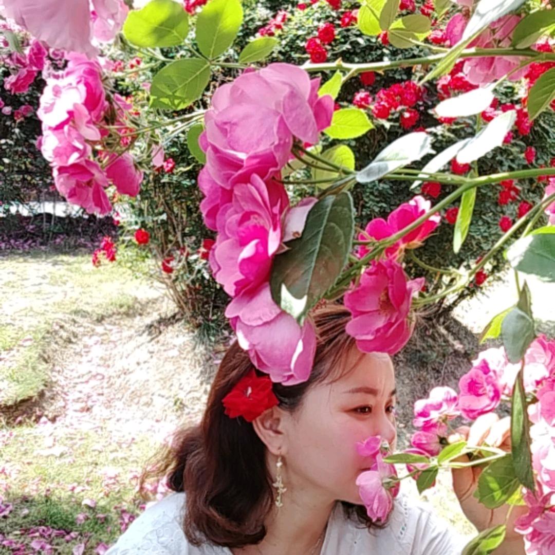 ଘ*听风随心2025🌺