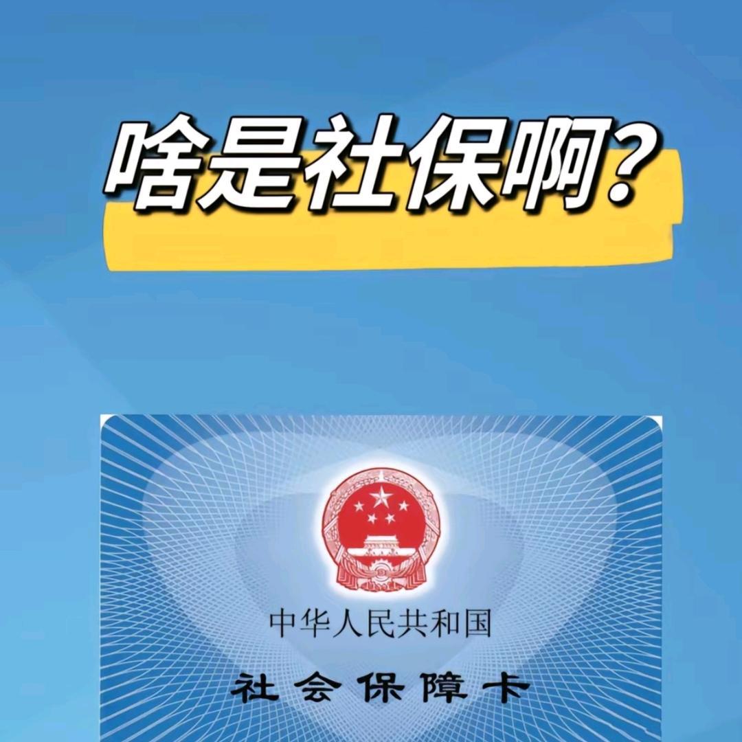 人力资源社会保障
