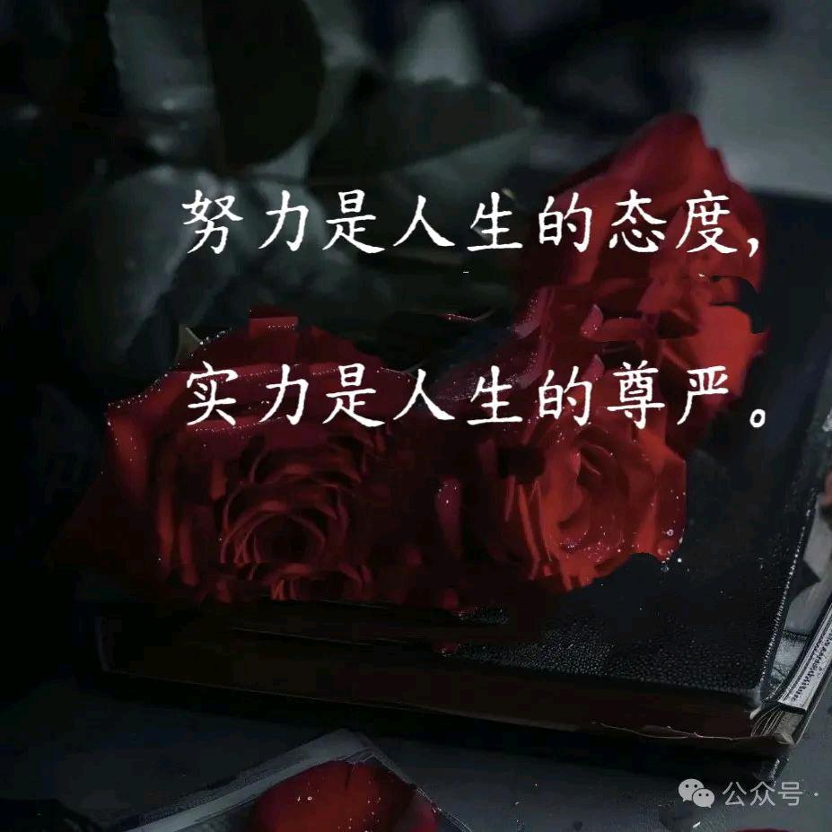 🐦ꦿ໊唯有᭄💖奋斗᭄ꦿᩚ٭