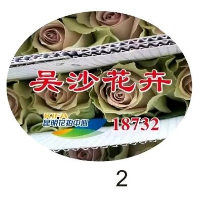 通海吴沙花卉园
