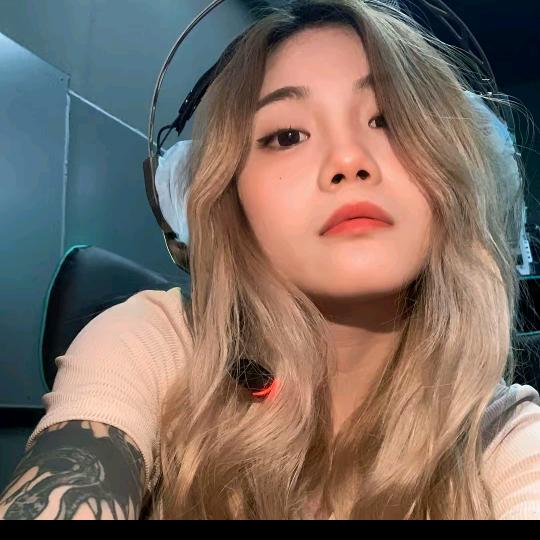 不吃香菜（努力版）