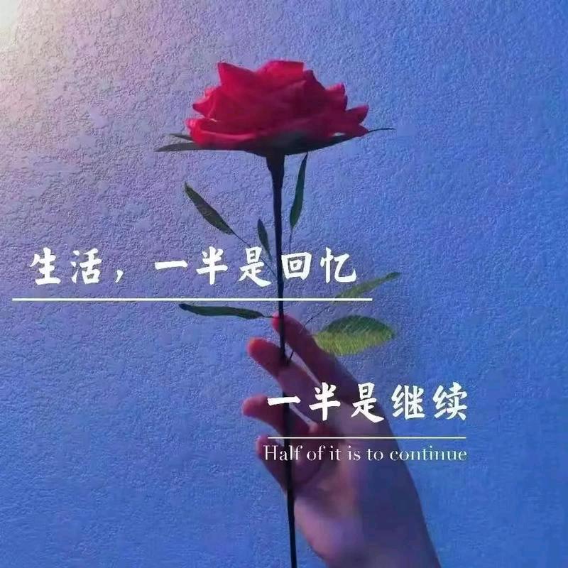 💞ღ᭄英姐ღ᭄💞