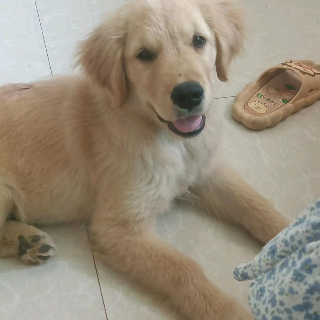 ^O^法海^O^不懂爱╭(╯ε╰)