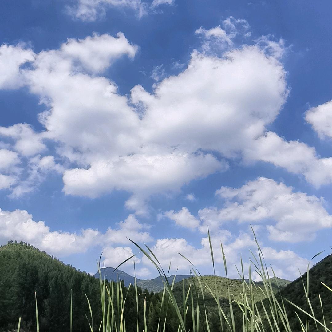 天诚手机广场盼盼