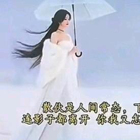 卑微的爱