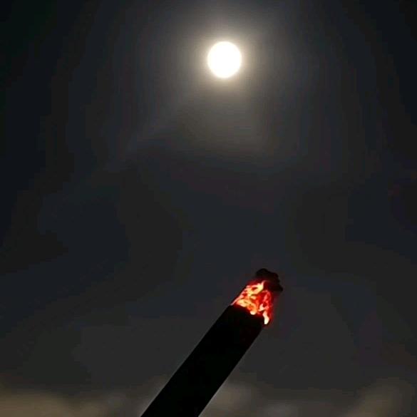 小邓为你点赞🤣🤣