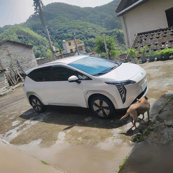 顺风车网约车——三少
