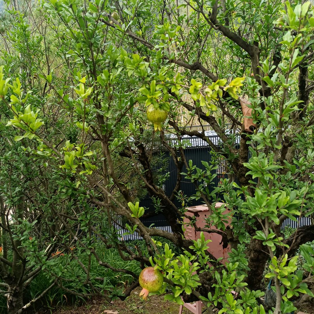 我若不在乎你，你又怎能伤我
