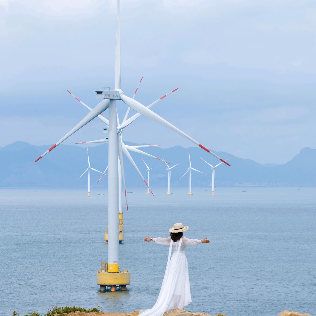 八戒财税～晶晶