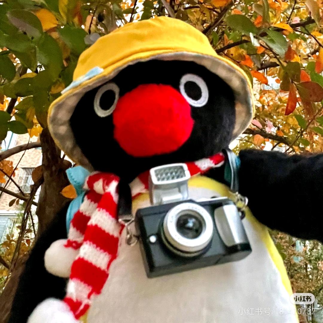 芝士🧀就是力量