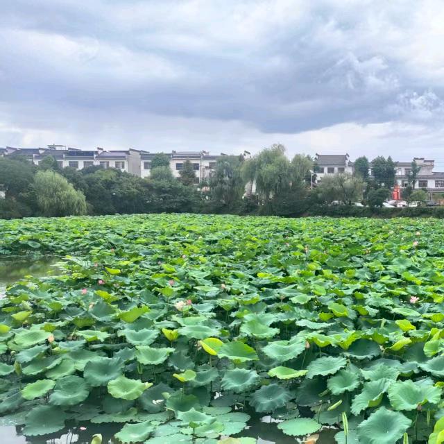 疼之入骨，爱之入心