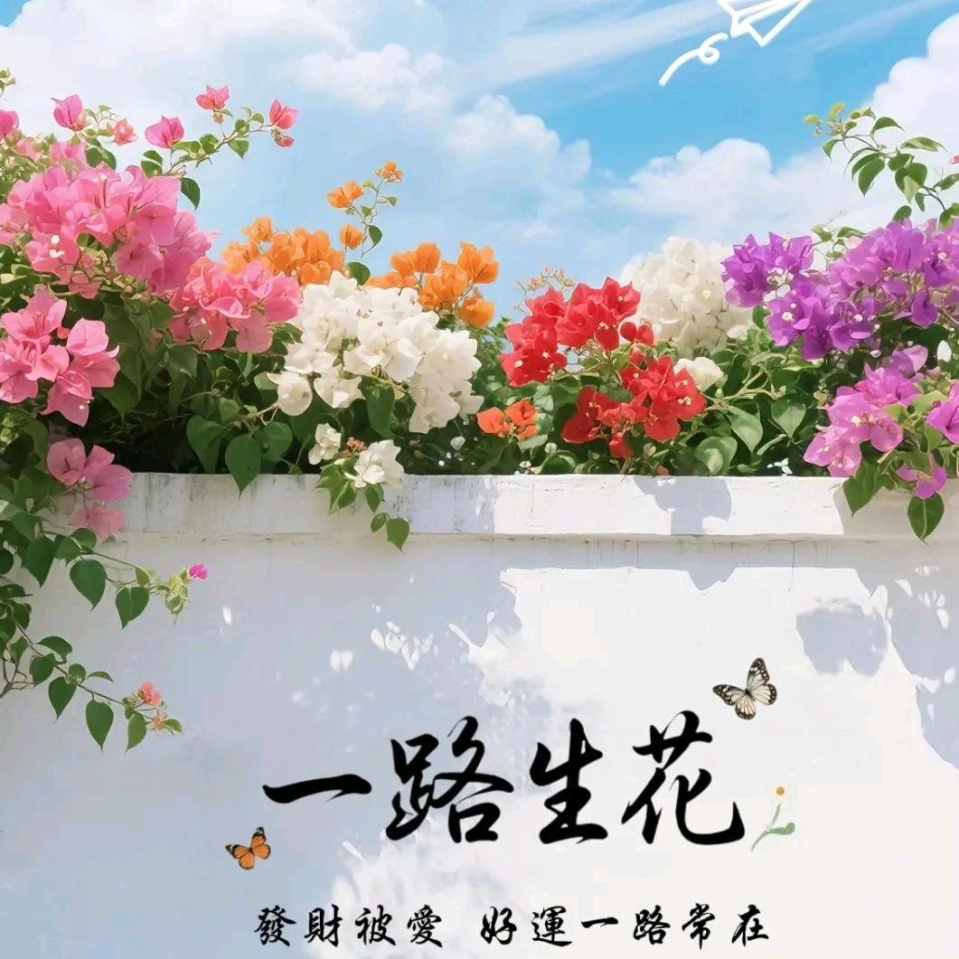 浅笑～不语