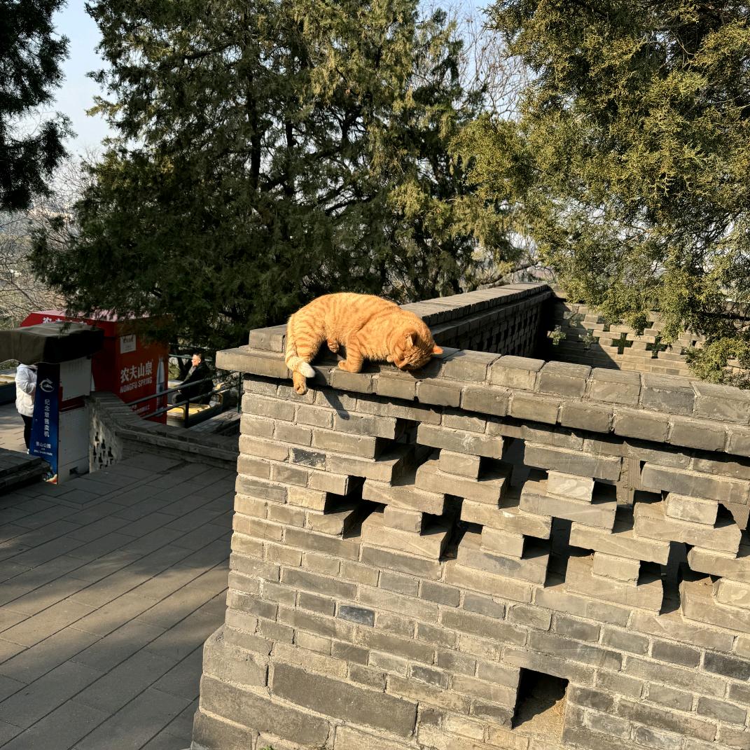 王筱果