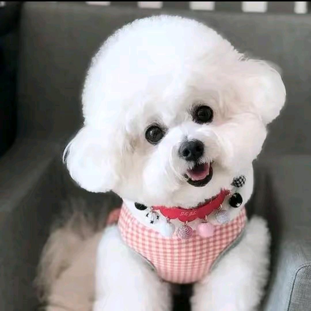 *^_^*萌宠乐园，*^_^*