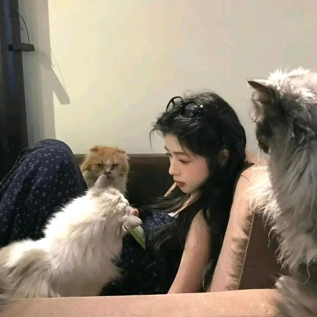 玫瑰