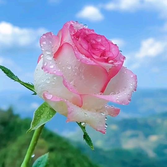 @会搞
