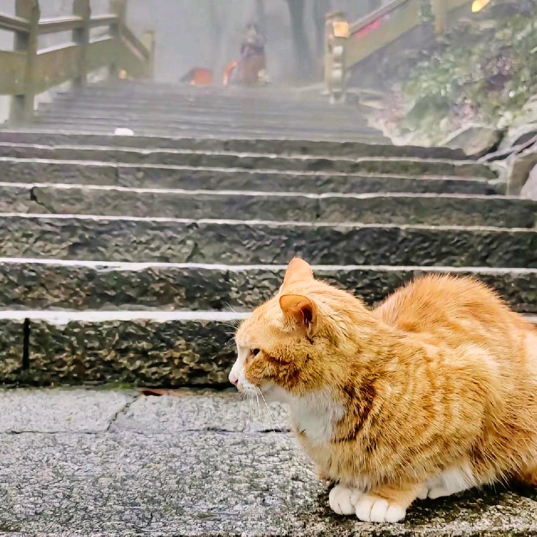 甜甜