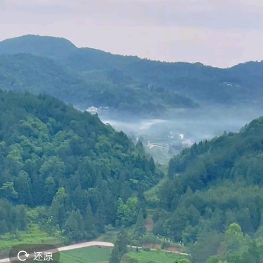 明智