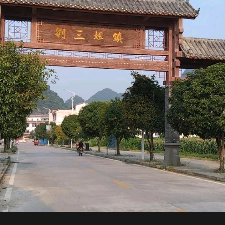 陈心陈意