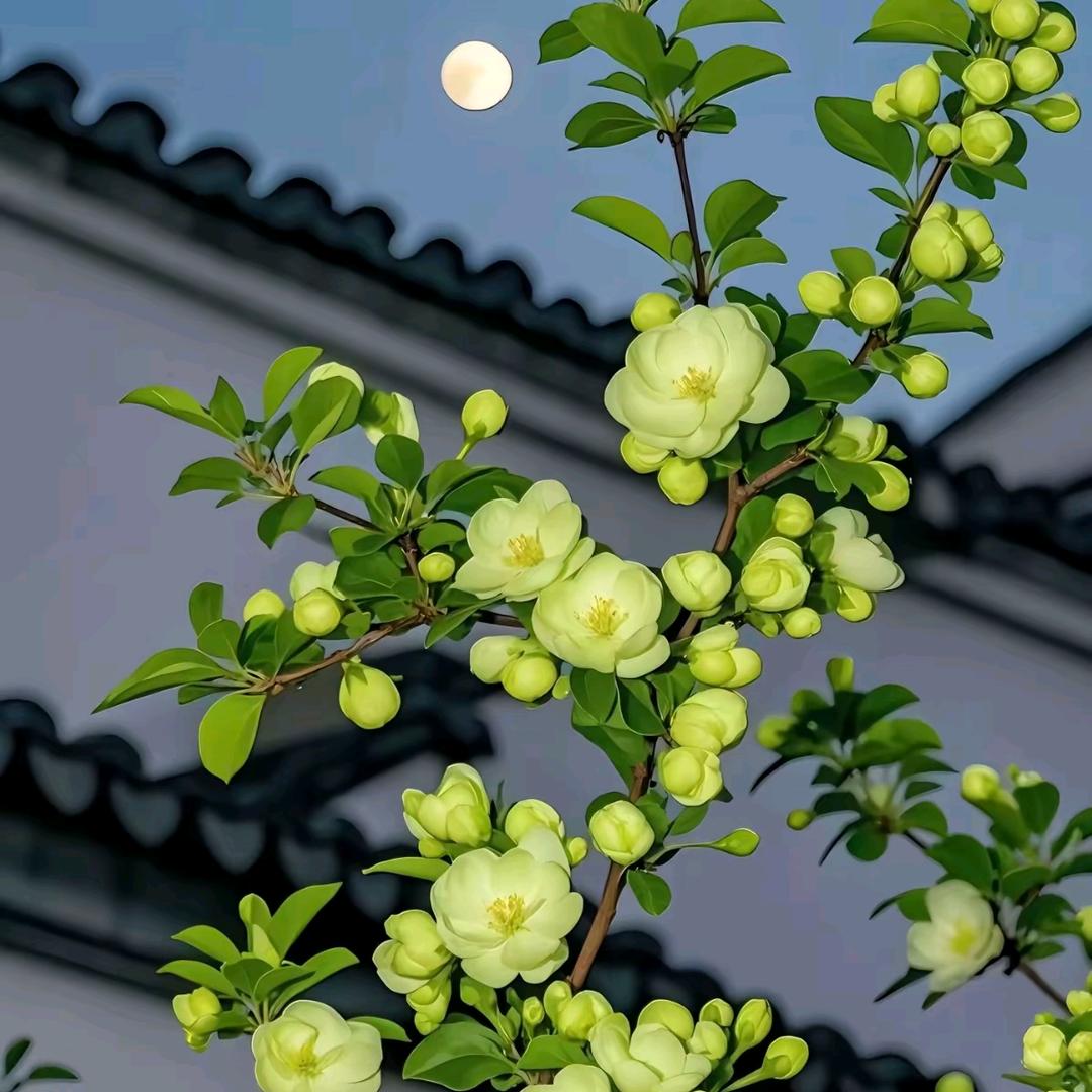 过客