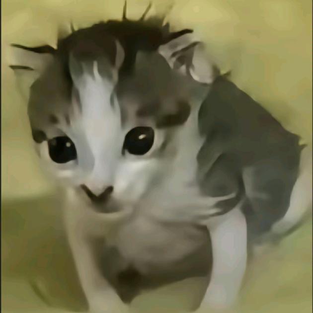 我想吃你死皮