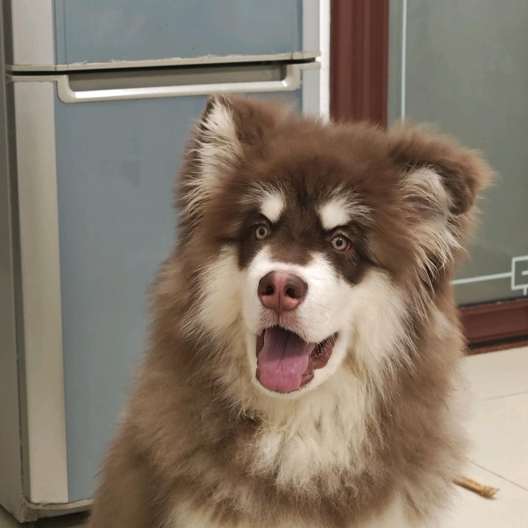 🌈威宁驾校小陈教练