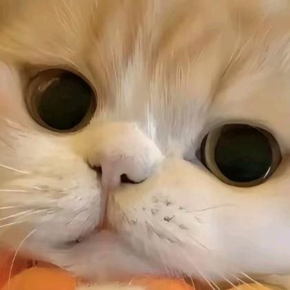 www.王