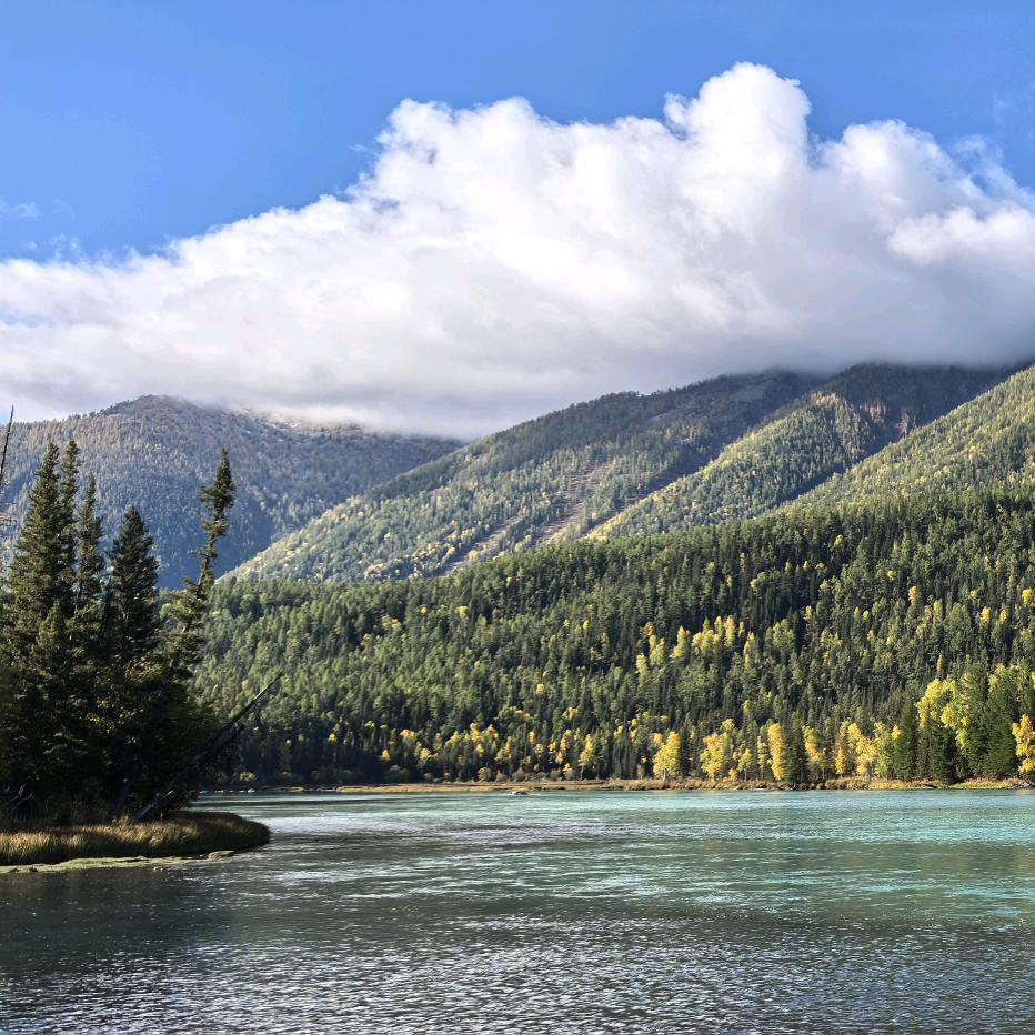 グゝ 夜很美💫