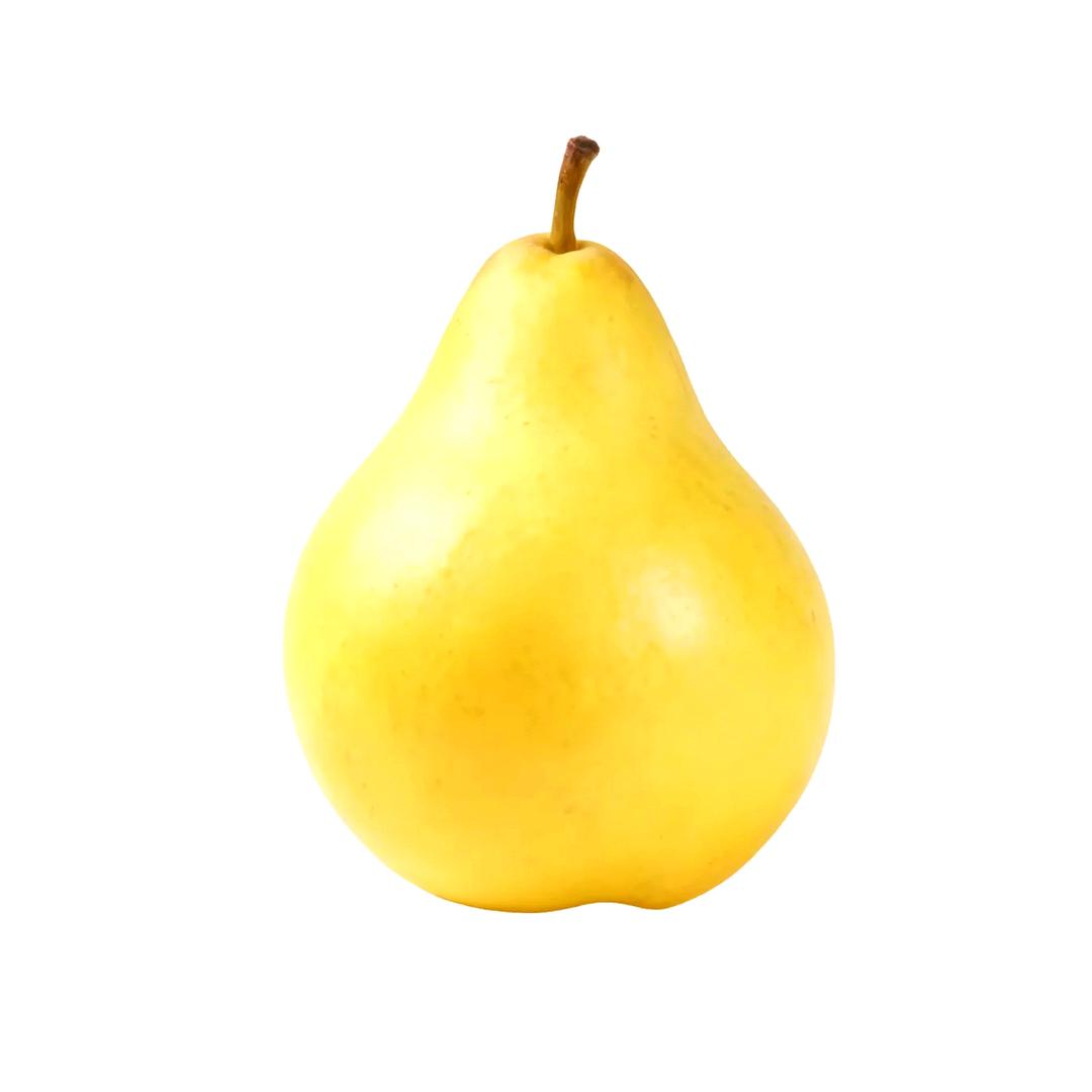 𝐆𝐞𝐦𝐢𝐧𝐢X-