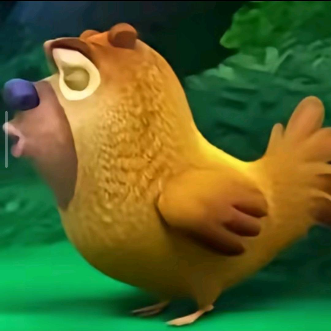 小宝眨眨眼(๑ت๑)