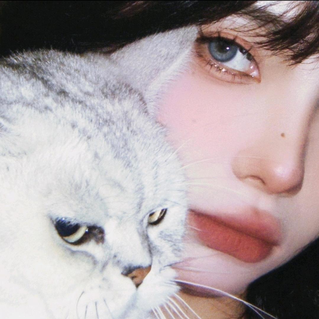 微醺小猫(招财版)