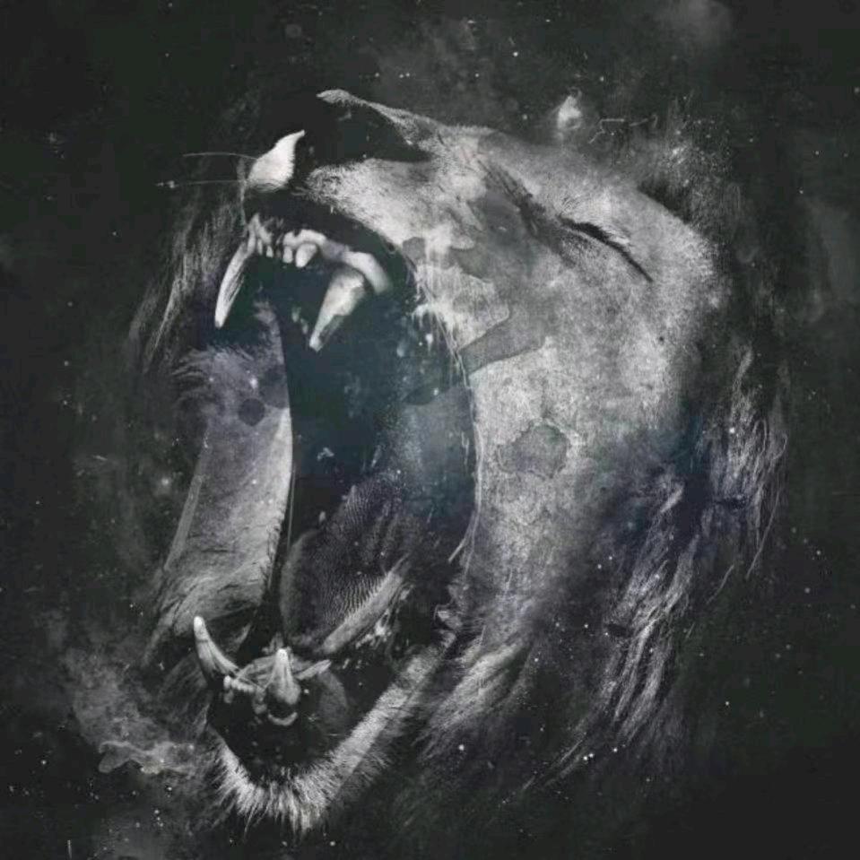 阿昊啊~
