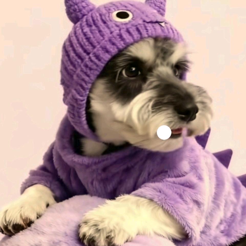 🐉图天下紫微星