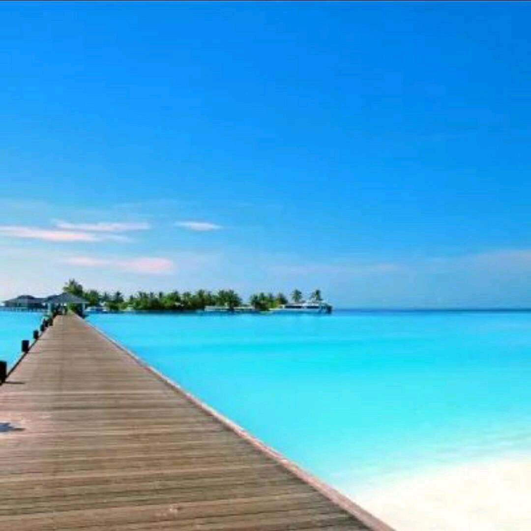 ༺.͡ꦿ᭄💞一生有你💞ღ᭄ꦿ༃🍀