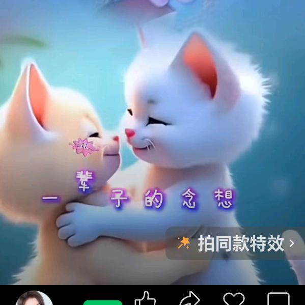单身大姐