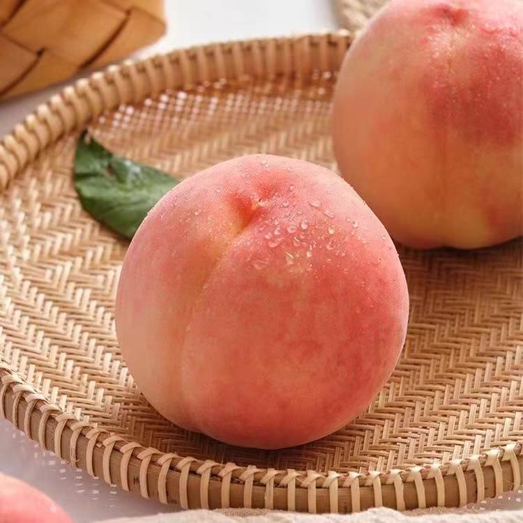 兰州什川古梨园乡村农业特色馆