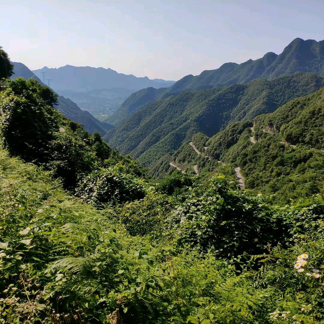 平凡世界