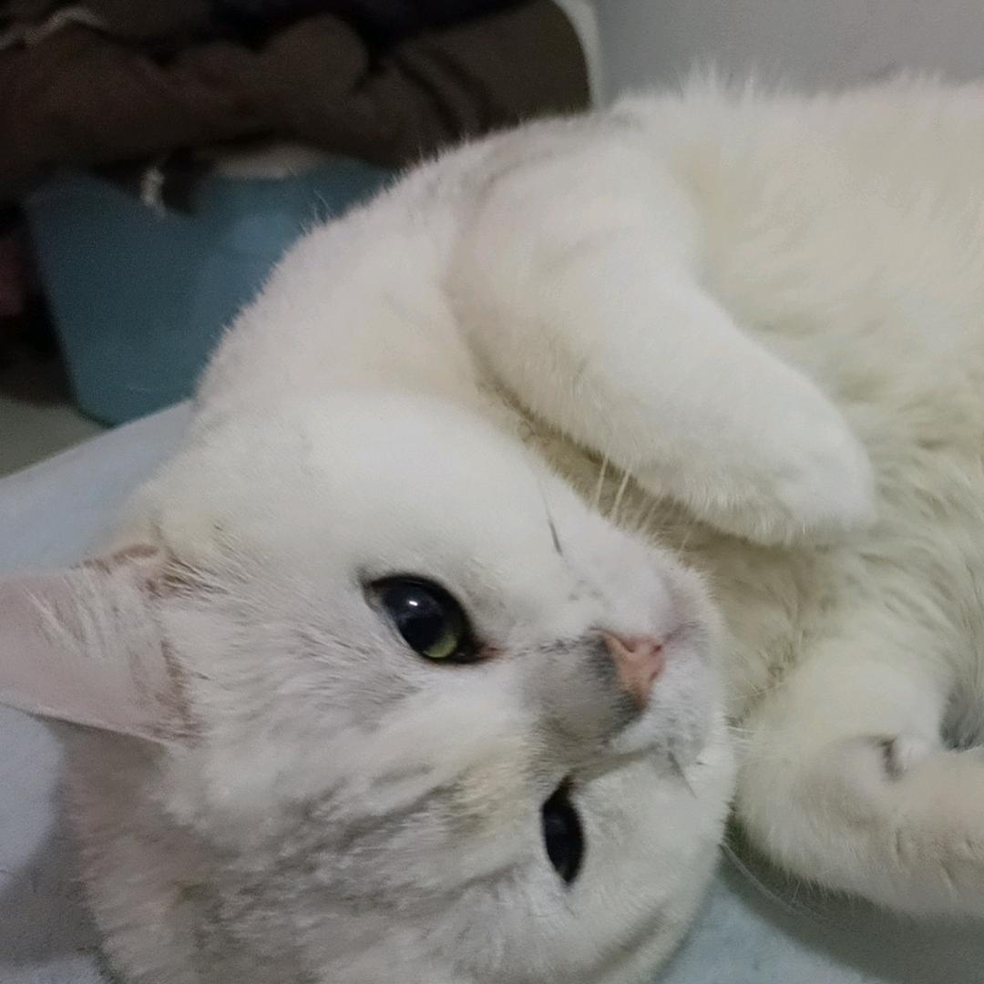 阿喻