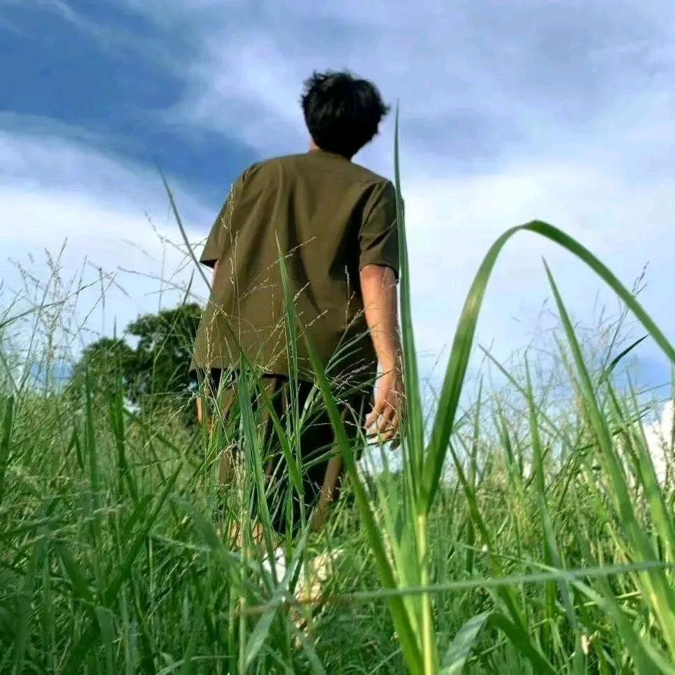 夜阑卧听风吹雨