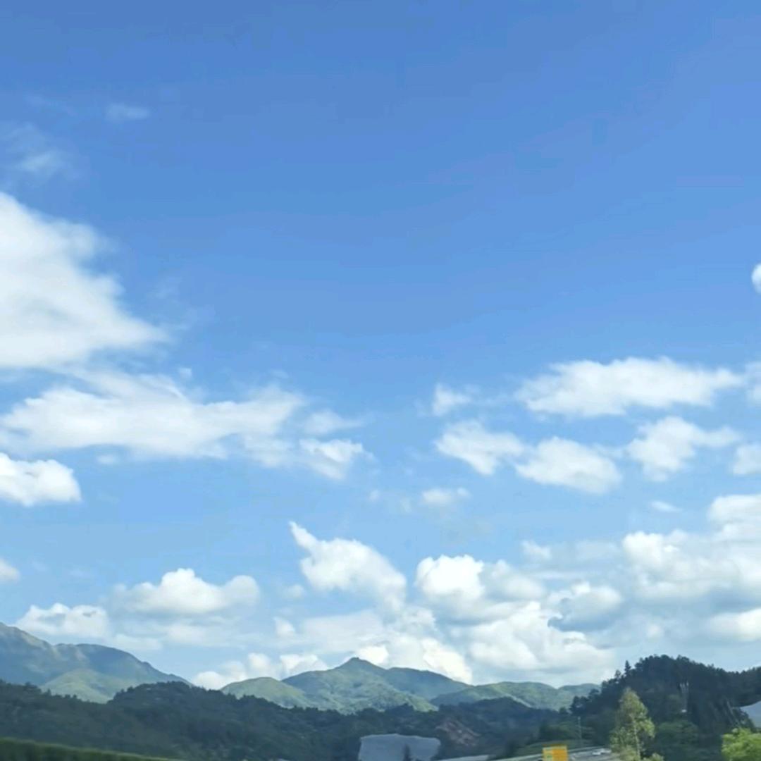洛洛