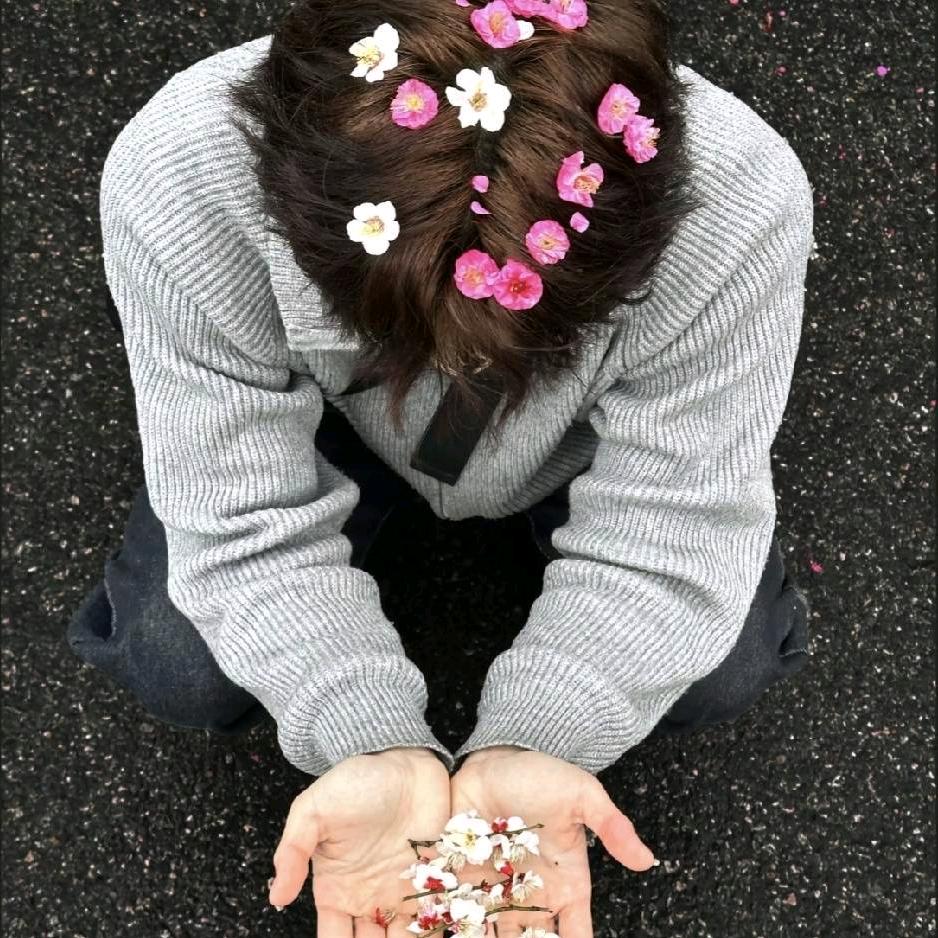 求雨晴
